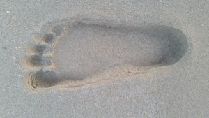 my-footprint-1630260-640x360